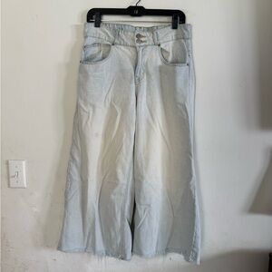 UO BDG Womens Baggy Cropped Frayed Boyfriend Jeans, Size 28
